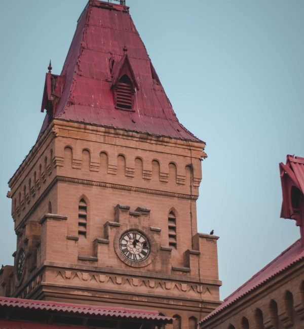 pexels-zain-ali-14933964